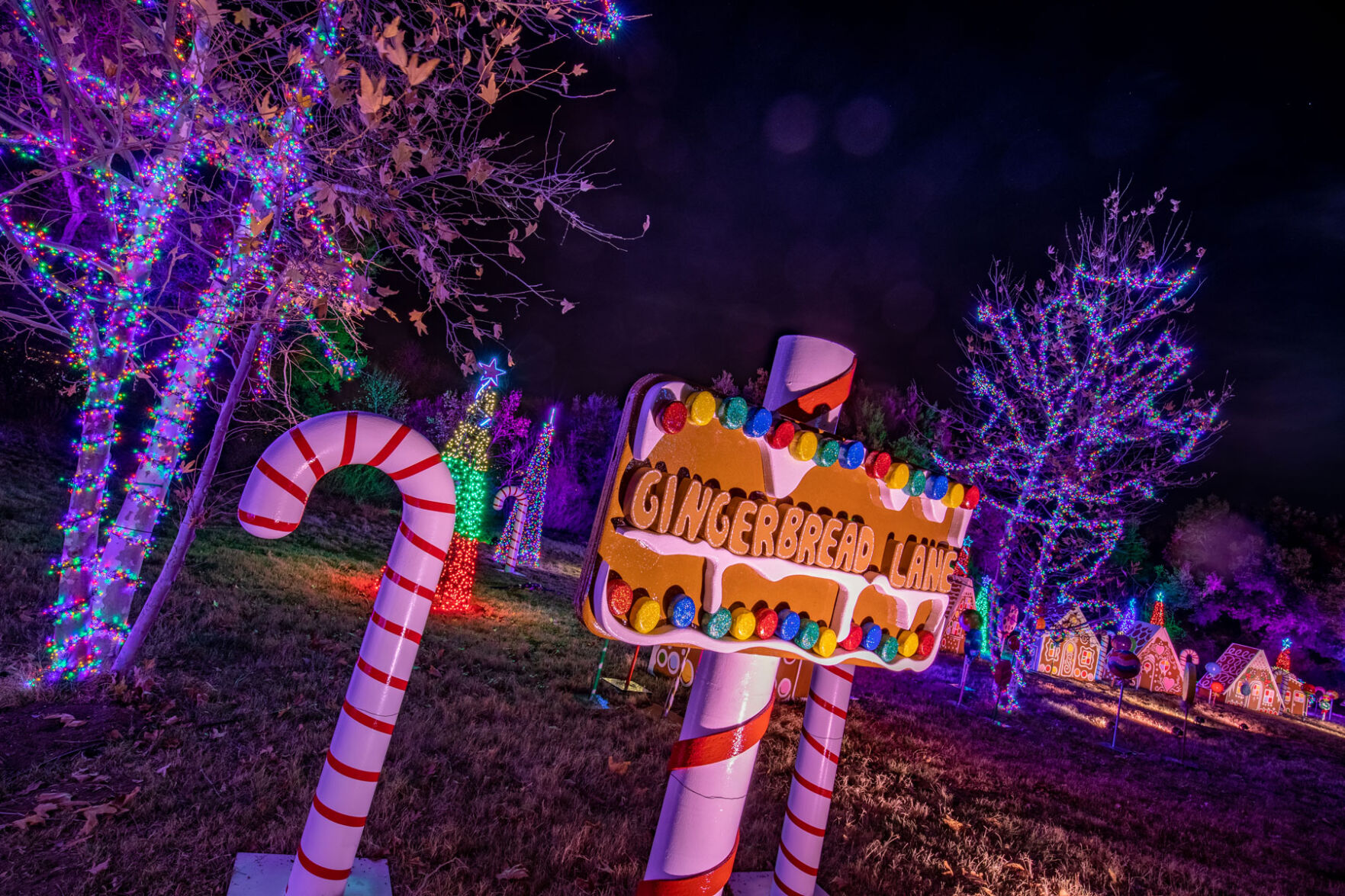 Holiday Road Gingerbread